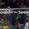 Goals of the Season