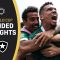 Palmeiras vs. Botafogo | FIFA Club World Cup Extended Highlights