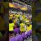 The Mamelodi Sundowns Fan Are ALL The HYPE ?