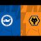 Wolverhampton Wanderers vs Brighton