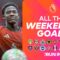 EVERY Weekend Goal | Matchweek 35 | 2025/26 Premier League Highlights